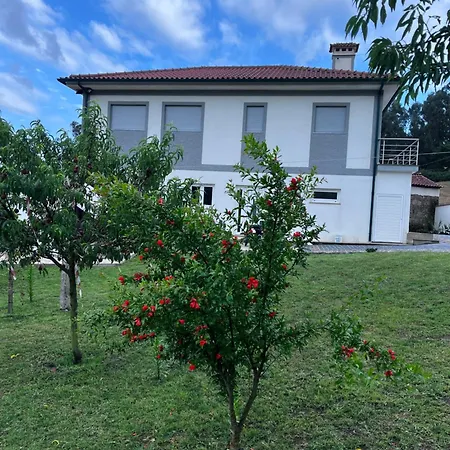 Casa Alexandre 3 Pansiyon Monte (Norte)